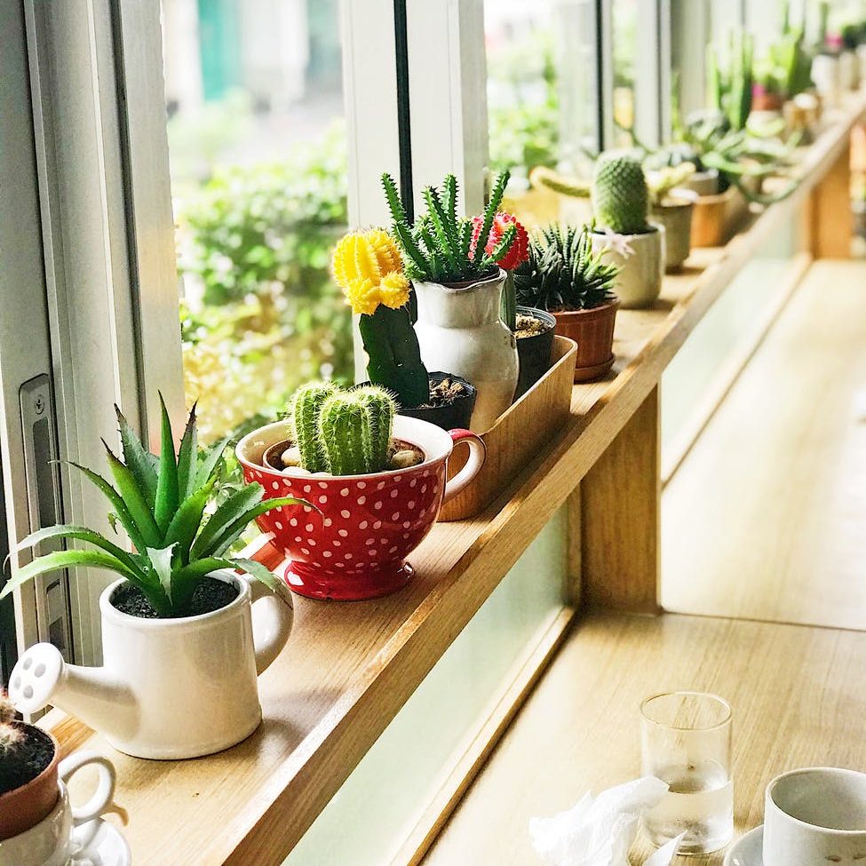 Criterios Diagnósticos de la&nbsp;Depresión