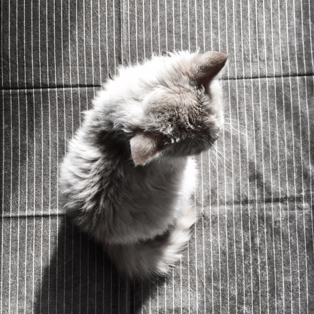 Conceptos de Depresión