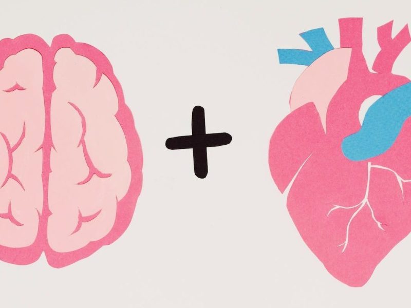 Qué hacemos las Neuropsicólogas&nbsp;Clínicas