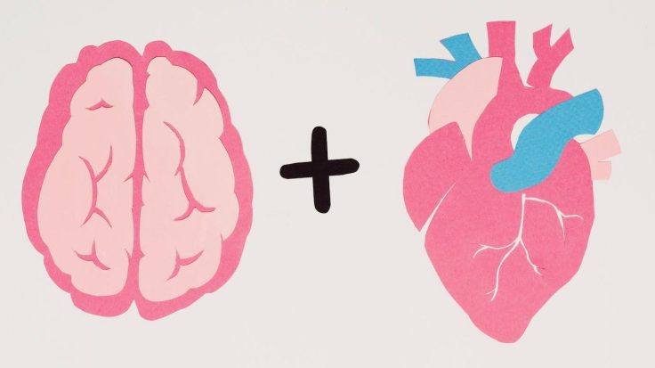 Qué hacemos las Neuropsicólogas&nbsp;Clínicas